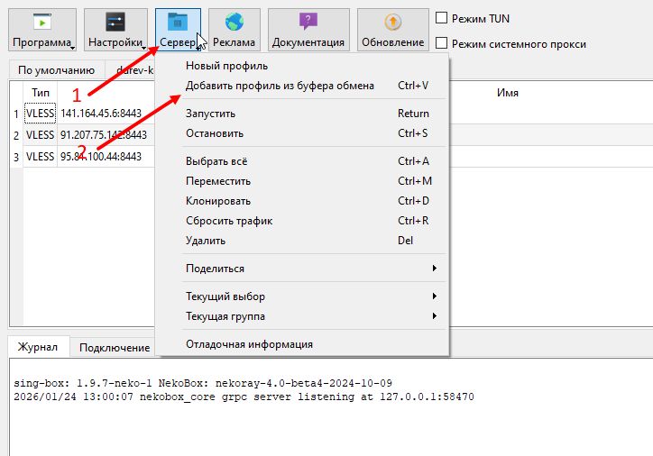 Окно импорта URL в NekoBox